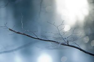 דיכאון חורף